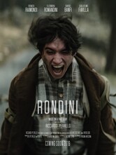 Rondini