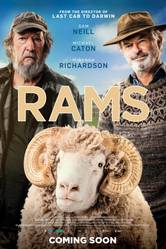 Rams