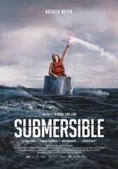 Submersible