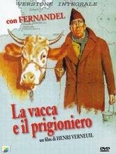 La vacca e il prigioniero