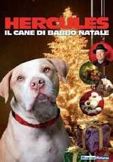 Hercules - Il cane di Babbo Natale