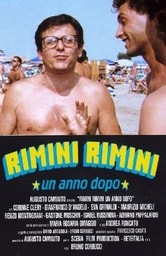 Rimini Rimini. Un anno dopo