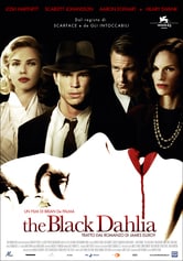 Black Dahlia