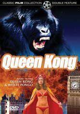 Queen Kong - La regina gorilla