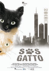 S.O.S. Gatto