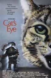 L'occhio del gatto