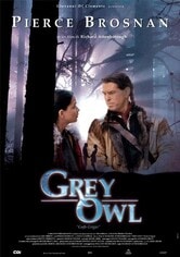 Grey Owl. Gufo grigio
