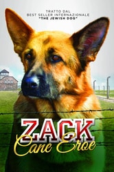 Zack, cane eroe