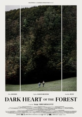 Dark Heart of the Forest
