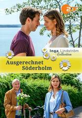 Inga Lindström: Benvenuta a Söderholm