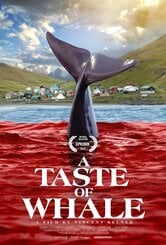 A Taste of Whale