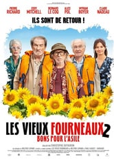 Les vieux fourneaux 2: Bons pour l'asile