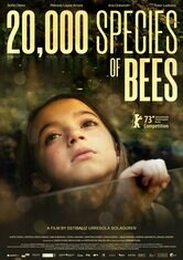20.000 Species of Bees