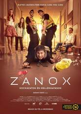 Zanox - Risks and Side Effects