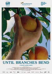 Until Branches Bend