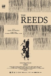 The Reeds