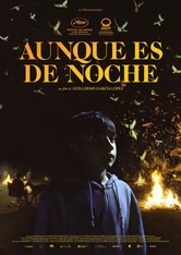 Aunque es de noche