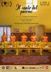 Il canto del pavone