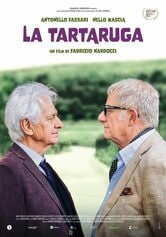 Locandina La tartaruga