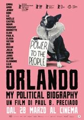Locandina Orlando, My Political Biography