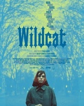 Wildcat