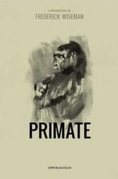 Primate