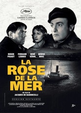 La rose de la mer