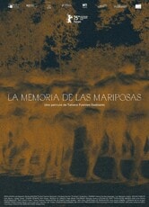 The Memory of Butterflies
