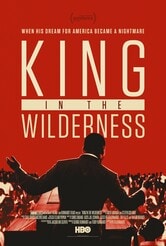 King In The Wilderness