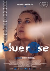 Bluerose
