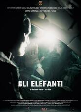 Gli elefanti