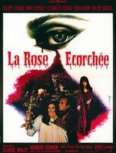Tre gocce di sangue per una rosa