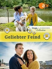 Inga Lindstrom - Segreti inconfessabili