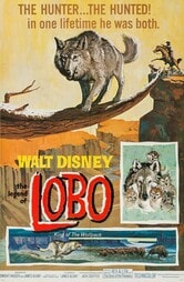 La leggenda di Lobo