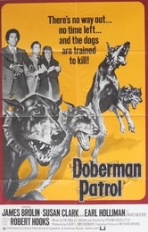 La pattuglia dei doberman al servizio della legge