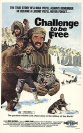 L'avventura del Grande Nord