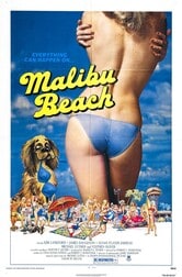 I ragazzi della spiaggia di Malibu
