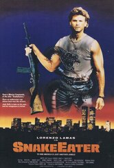 Il guerriero della strada