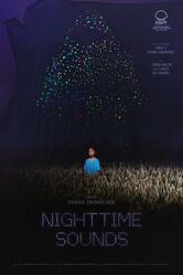 Nighttime Sounds