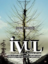 Ivul