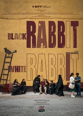 Black Rabbit, White Rabbit