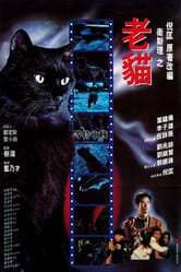 The Cat