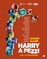 Harry a pezzi