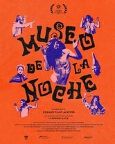 Museo de la noche