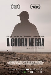 La Couleuvre noire