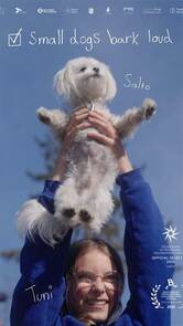 Small Dogs Bark Loud