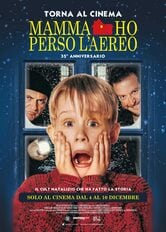 locandina Mamma, ho perso l'aereo