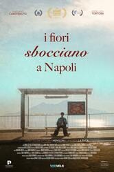 I fiori sbocciano a Napoli