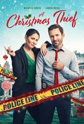 locandina Feste col ladro