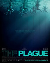 The Plague